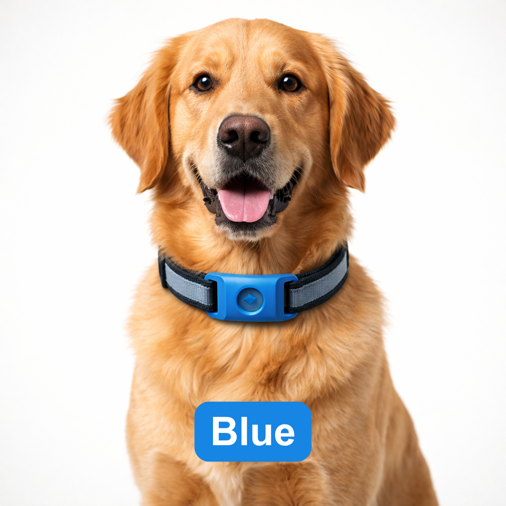 Urbanly™ Tick & Flea Prevention Collar