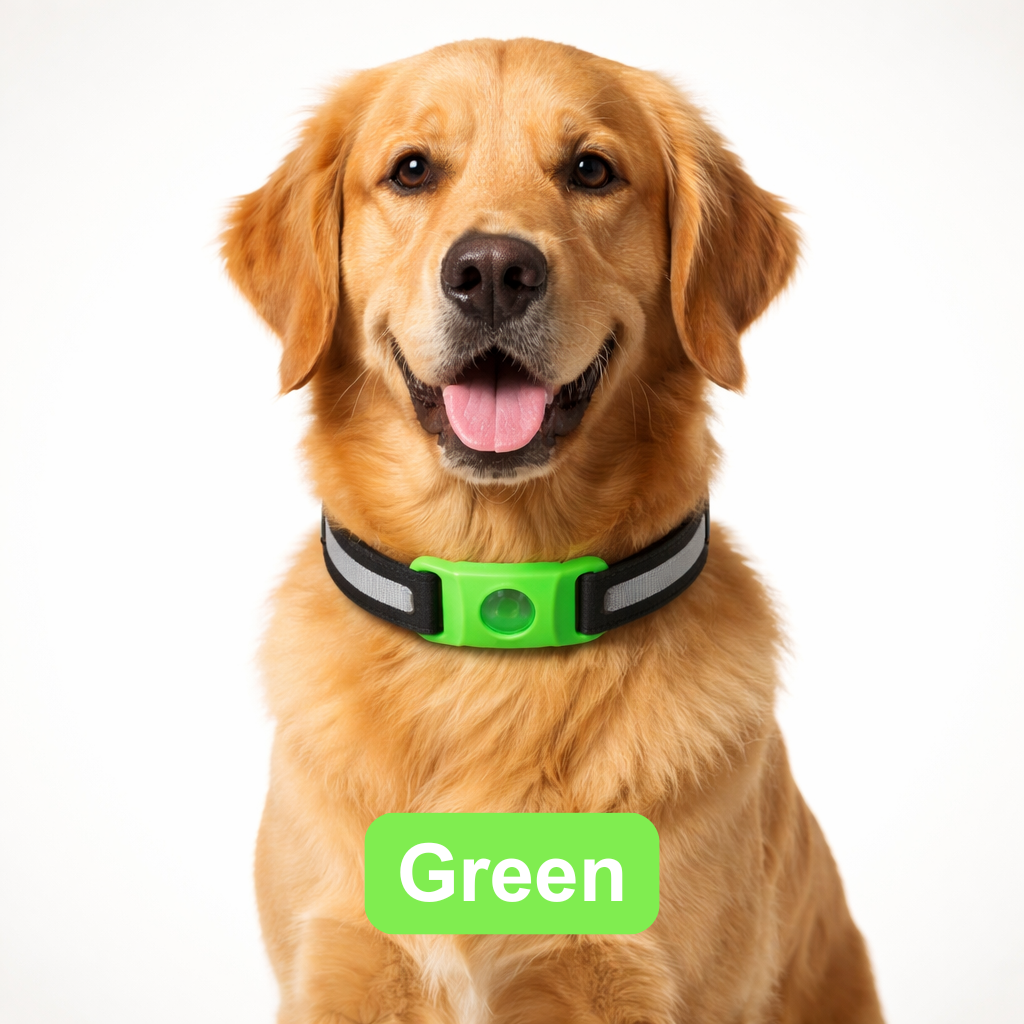 Urbanly™ Tick & Flea Prevention Collar