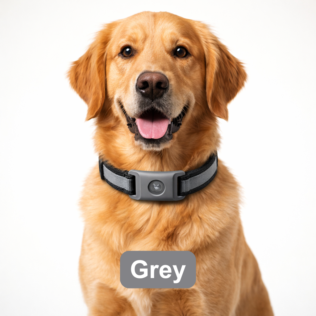 Urbanly™ Tick & Flea Prevention Collar