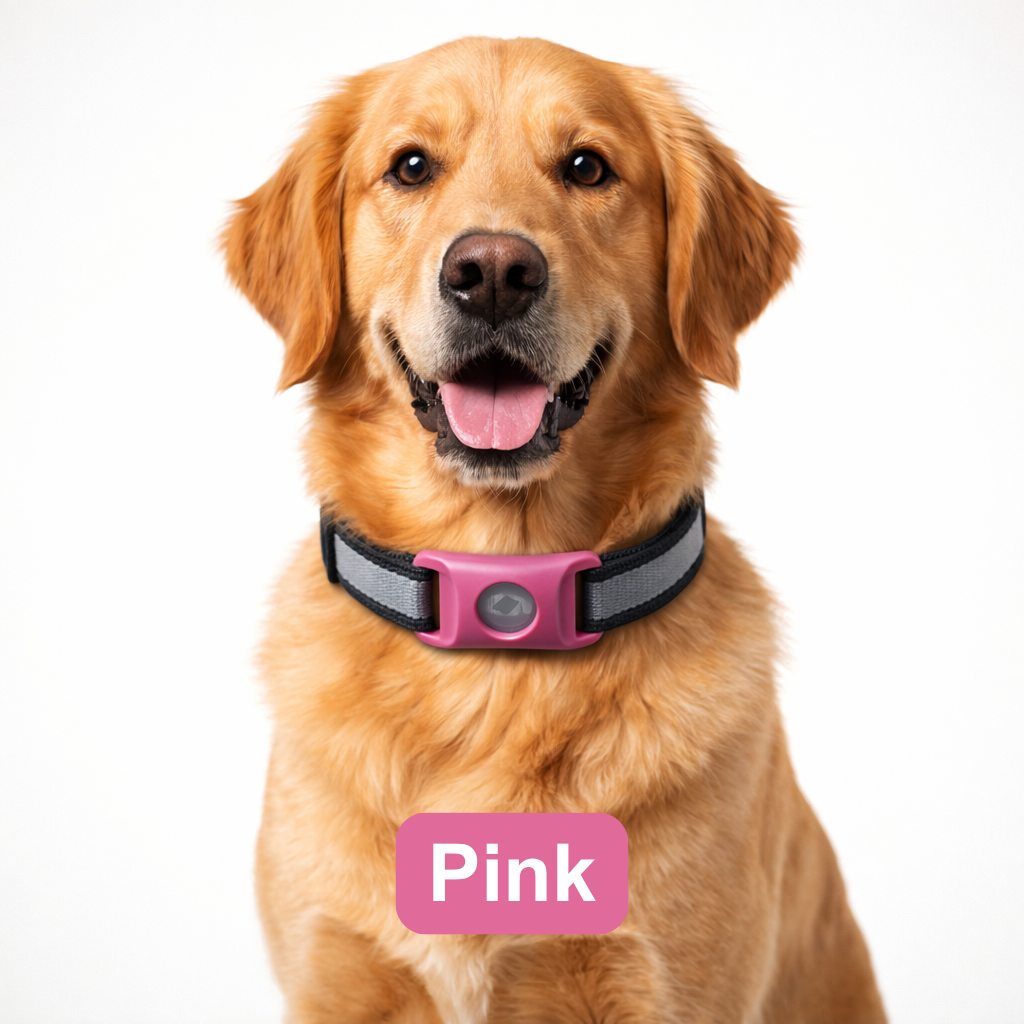 Urbanly™ Tick & Flea Prevention Collar