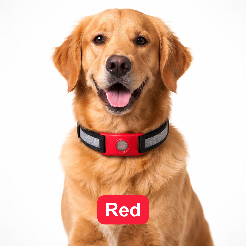 Urbanly™ Tick & Flea Prevention Collar