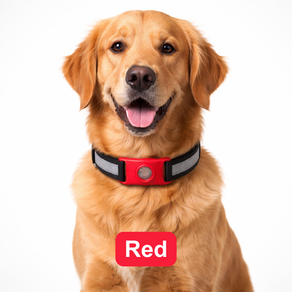 Urbanly™ Tick & Flea Prevention Collar